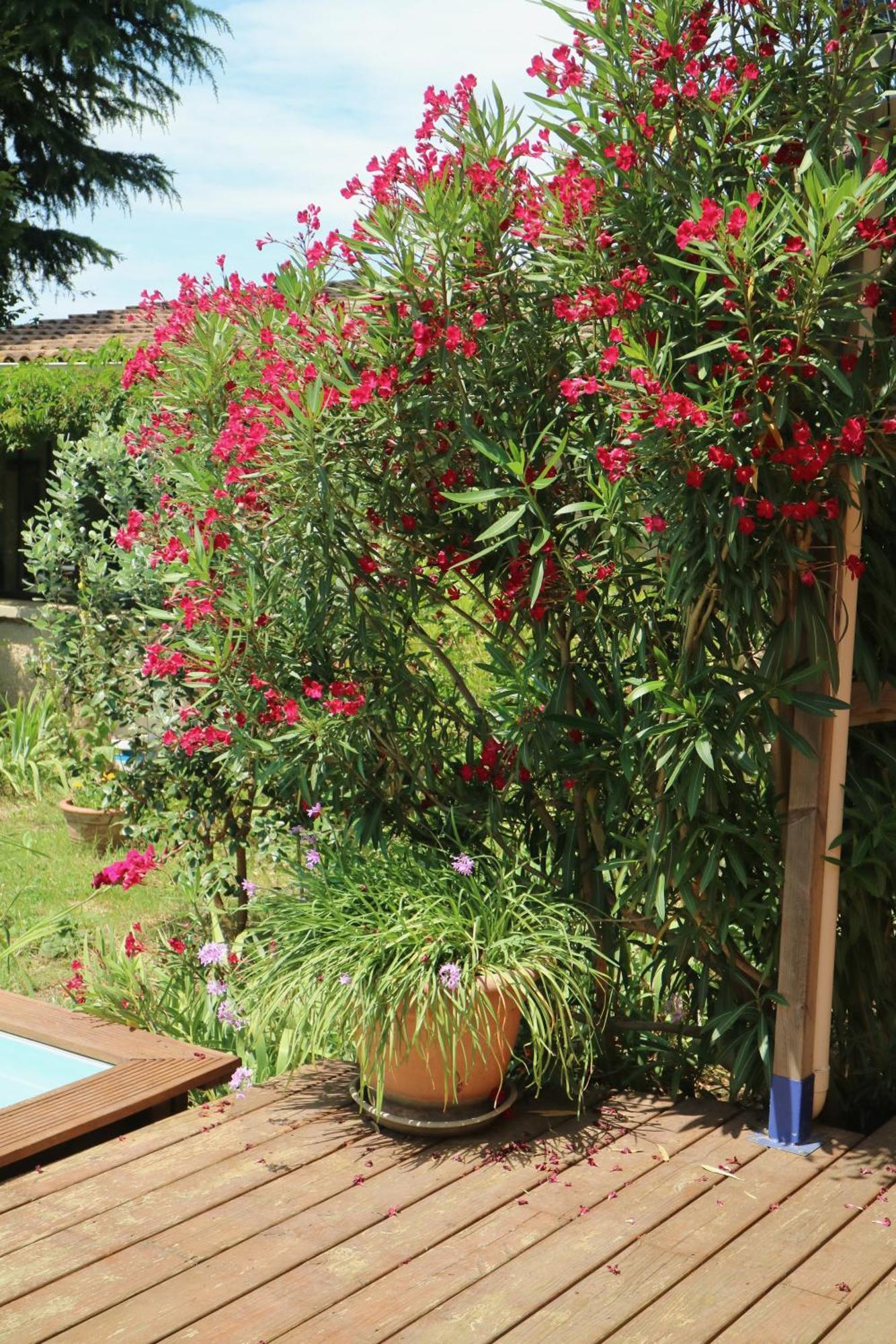 Bed and Breakfast Un Temps Pour Le Reve Valence  Zewnętrze zdjęcie